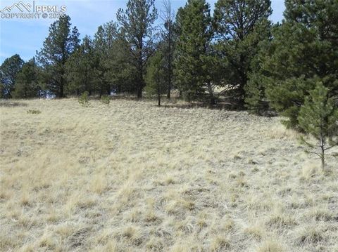 Photo of 1058 Monarch Drive, Cripple Creek, CO 80813 (MLS # 9115425)