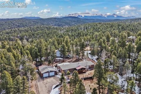 Photo of 146 Kokwapy Court, Florissant, CO 80816 (MLS # 2501031)