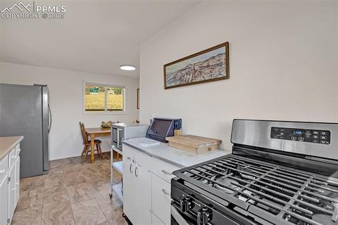 Tiny photo for 418 Spicer Avenue, Victor, CO 80860 (MLS # 8716886)