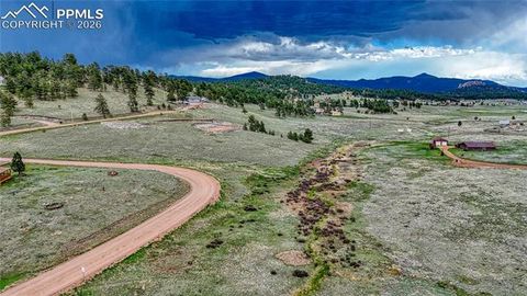 Photo of 315 Empire Road, Florissant, CO 80816 (MLS # 3328631)