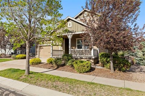 Photo of 7891 Silver Birch Drive, Colorado Springs, CO 80927 (MLS # 8893556)