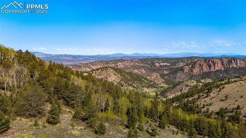 Photo of Conley Ranch Road, Cripple Creek, CO 80813 (MLS # 4228418)