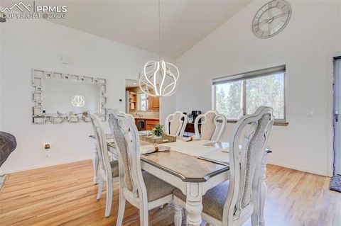 Tiny photo for 840 E Kellys Road, Woodland Park, CO 80863 (MLS # 5062431)