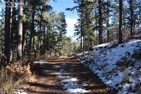 12778 Greenland Acres Road Larkspur CO 80118