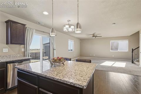 Photo of 11763 Sedge Court, Peyton, CO 80831 (MLS # 9025644)