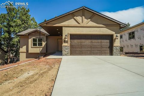 Tiny photo for 610 Misty Pines Circle, Woodland Park, CO 80863 (MLS # 3572859)