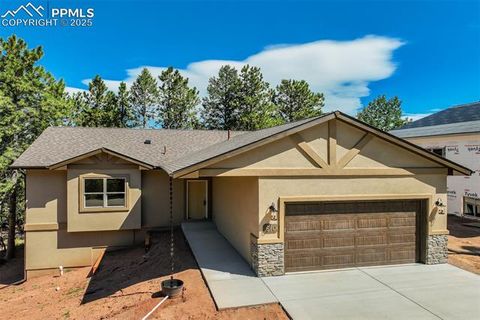 Photo of 610 Misty Pines Circle, Woodland Park, CO 80863 (MLS # 3572859)