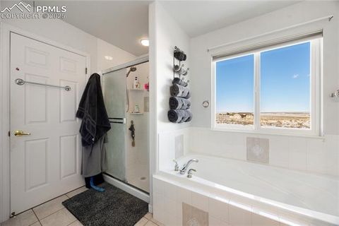Tiny photo for 1677 N Cholla Court, Pueblo West, CO 81007 (MLS # 8040131)