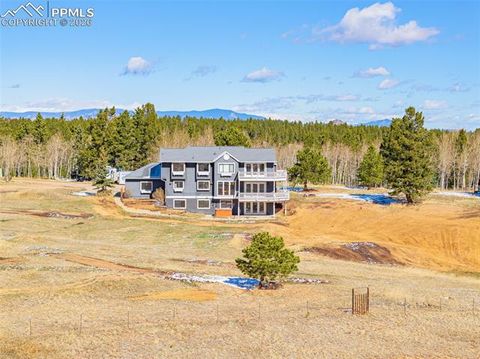 Photo of 78 Moss Rock Court, Divide, CO 80814 (MLS # 9428503)