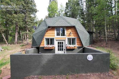 Photo of 776 Jolly Rogue Drive, Divide, CO 80814 (MLS # 2845531)
