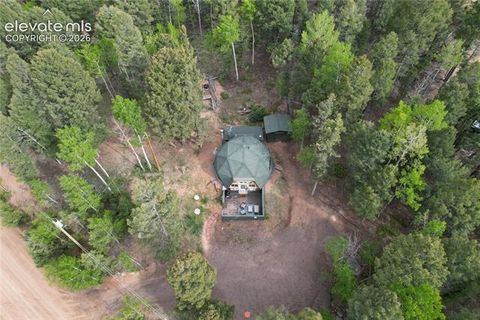 Tiny photo for 776 Jolly Rogue Drive, Divide, CO 80814 (MLS # 2845531)
