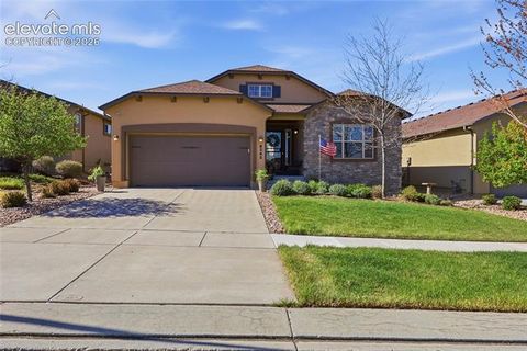 Photo of 6245 Mount Ouray Drive, Colorado Springs, CO 80924 (MLS # 7375238)