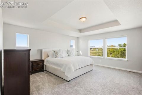 Tiny photo for 10062 Antelope Ravine Drive, Colorado Springs, CO 80908 (MLS # 5757260)
