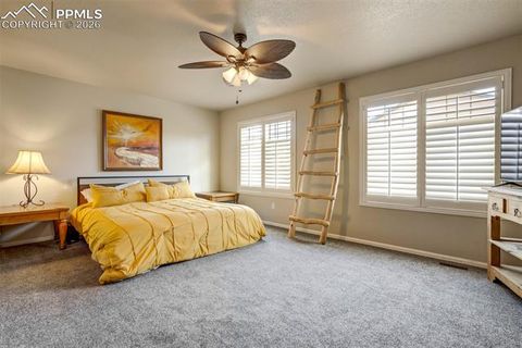 Tiny photo for 4766 Kerry Lynn View, Colorado Springs, CO 80922 (MLS # 8327672)