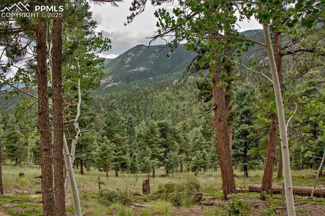 266 Aspen Ridge Road