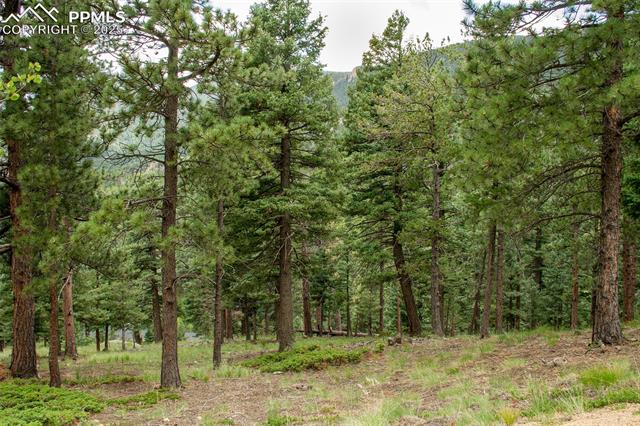 266 Aspen Ridge Road