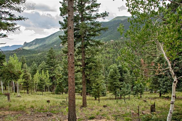 266 Aspen Ridge Road