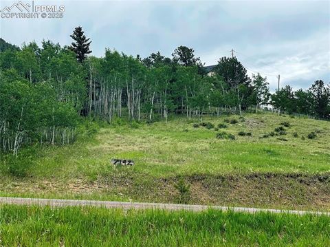 Photo of 7142 County Road 92, Lake George, CO 80827 (MLS # 8867495)