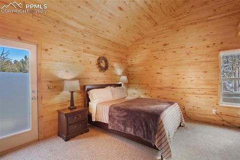 Tiny photo for 526 Wakanda Trail, Woodland Park, CO 80863 (MLS # 8390387)