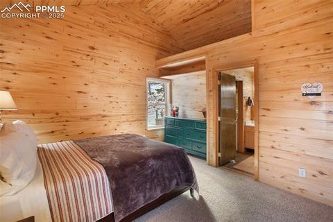 Tiny photo for 526 Wakanda Trail, Woodland Park, CO 80863 (MLS # 8390387)