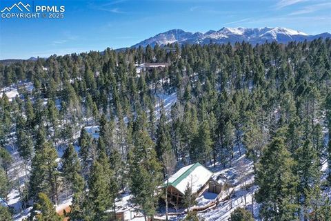 Tiny photo for 526 Wakanda Trail, Woodland Park, CO 80863 (MLS # 8390387)