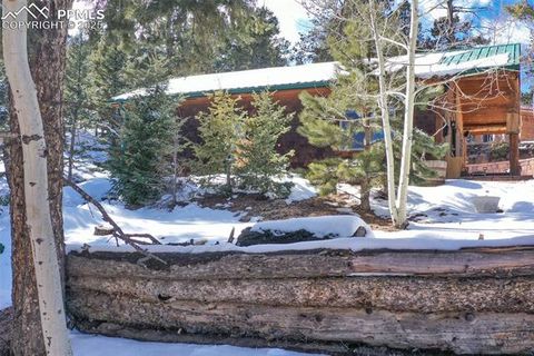 Tiny photo for 526 Wakanda Trail, Woodland Park, CO 80863 (MLS # 8390387)