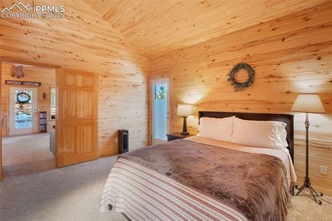 Tiny photo for 526 Wakanda Trail, Woodland Park, CO 80863 (MLS # 8390387)