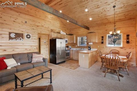 Tiny photo for 526 Wakanda Trail, Woodland Park, CO 80863 (MLS # 8390387)
