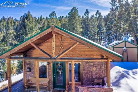 Tiny photo for 526 Wakanda Trail, Woodland Park, CO 80863 (MLS # 8390387)