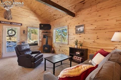 Tiny photo for 526 Wakanda Trail, Woodland Park, CO 80863 (MLS # 8390387)