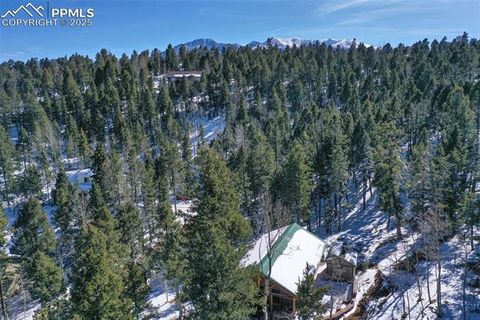 Tiny photo for 526 Wakanda Trail, Woodland Park, CO 80863 (MLS # 8390387)