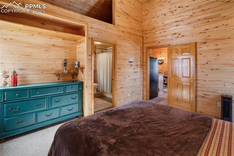 Tiny photo for 526 Wakanda Trail, Woodland Park, CO 80863 (MLS # 8390387)