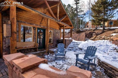 Tiny photo for 526 Wakanda Trail, Woodland Park, CO 80863 (MLS # 8390387)