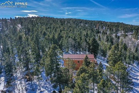 Tiny photo for 526 Wakanda Trail, Woodland Park, CO 80863 (MLS # 8390387)