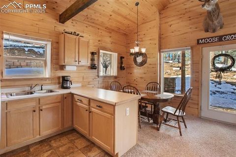 Tiny photo for 526 Wakanda Trail, Woodland Park, CO 80863 (MLS # 8390387)