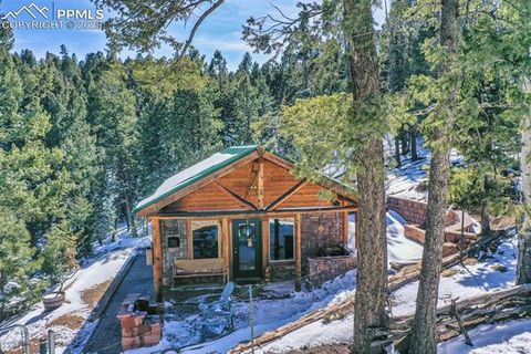 Tiny photo for 526 Wakanda Trail, Woodland Park, CO 80863 (MLS # 8390387)