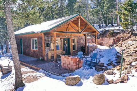 Photo of 526 Wakanda Trail, Woodland Park, CO 80863 (MLS # 8390387)
