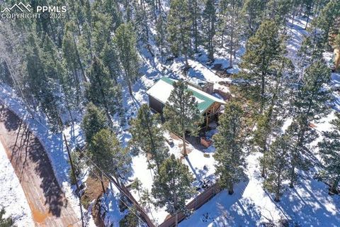Tiny photo for 526 Wakanda Trail, Woodland Park, CO 80863 (MLS # 8390387)