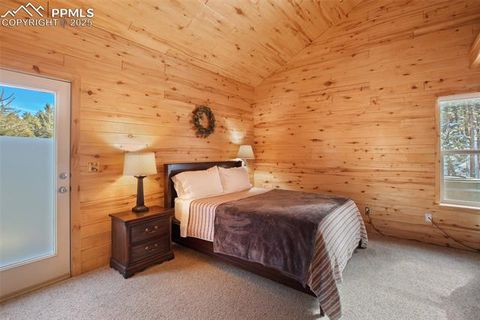 Tiny photo for 526 Wakanda Trail, Woodland Park, CO 80863 (MLS # 8390387)