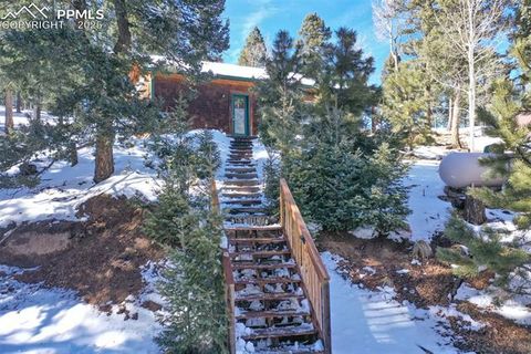Tiny photo for 526 Wakanda Trail, Woodland Park, CO 80863 (MLS # 8390387)