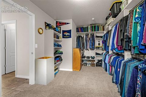 Tiny photo for 7366 Buffalo Prairie Court, Colorado Springs, CO 80915 (MLS # 9699580)