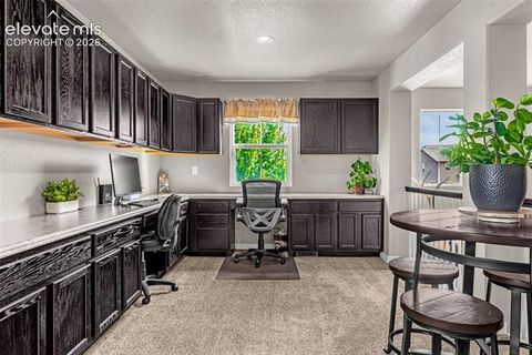 Tiny photo for 7366 Buffalo Prairie Court, Colorado Springs, CO 80915 (MLS # 9699580)