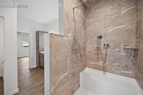 Tiny photo for 20 Apache Circle, Florissant, CO 80816 (MLS # 8561218)