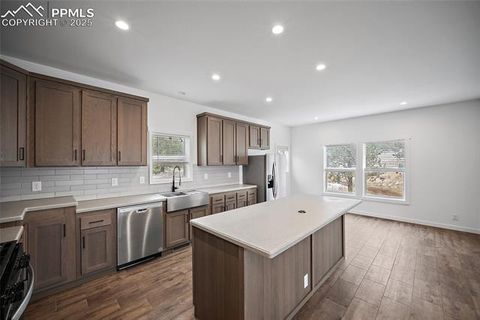 Tiny photo for 20 Apache Circle, Florissant, CO 80816 (MLS # 8561218)