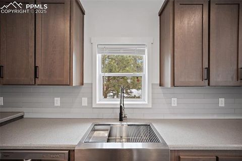 Tiny photo for 20 Apache Circle, Florissant, CO 80816 (MLS # 8561218)