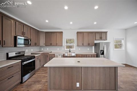 Tiny photo for 20 Apache Circle, Florissant, CO 80816 (MLS # 8561218)