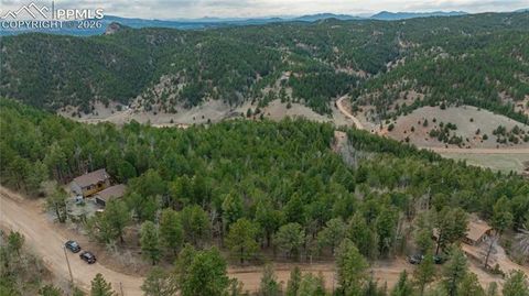 Photo of 881 Timber Ridge Road, Divide, CO 80814 (MLS # 7760796)