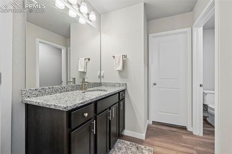 Tiny photo for 9775 Cronin Street, Fountain, CO 80817 (MLS # 4341893)