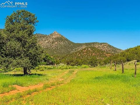 Photo of 10 Rice Mountain Way, Canon City, CO 81212 (MLS # 9688806)