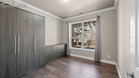 Tiny photo for 4253 Alder Springs View, Colorado Springs, CO 80922 (MLS # 9081052)